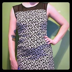 Cat print dress with sheer panel